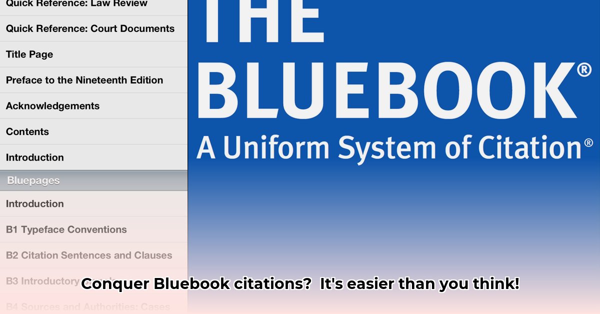 bluebook-for-dummies